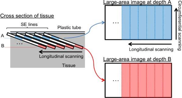 Fig. 3