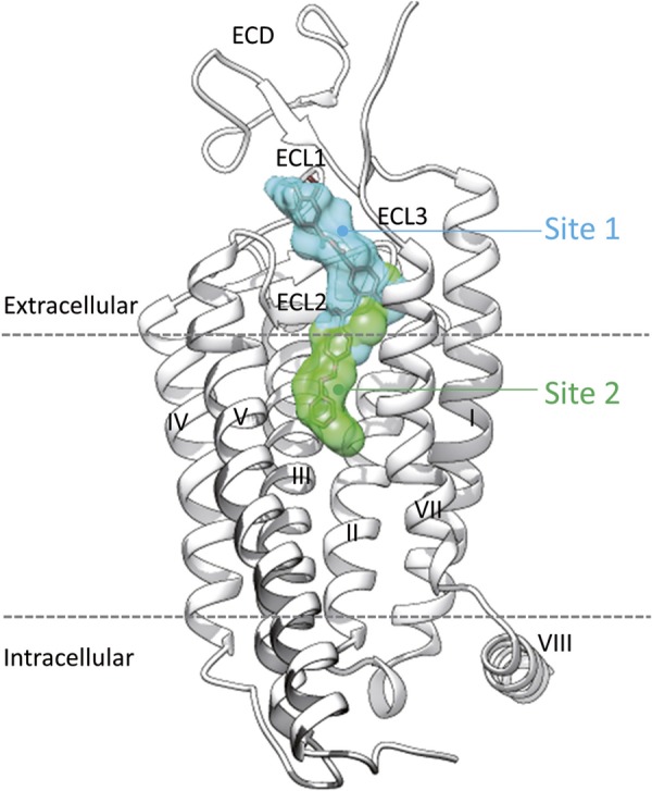 Figure 7.