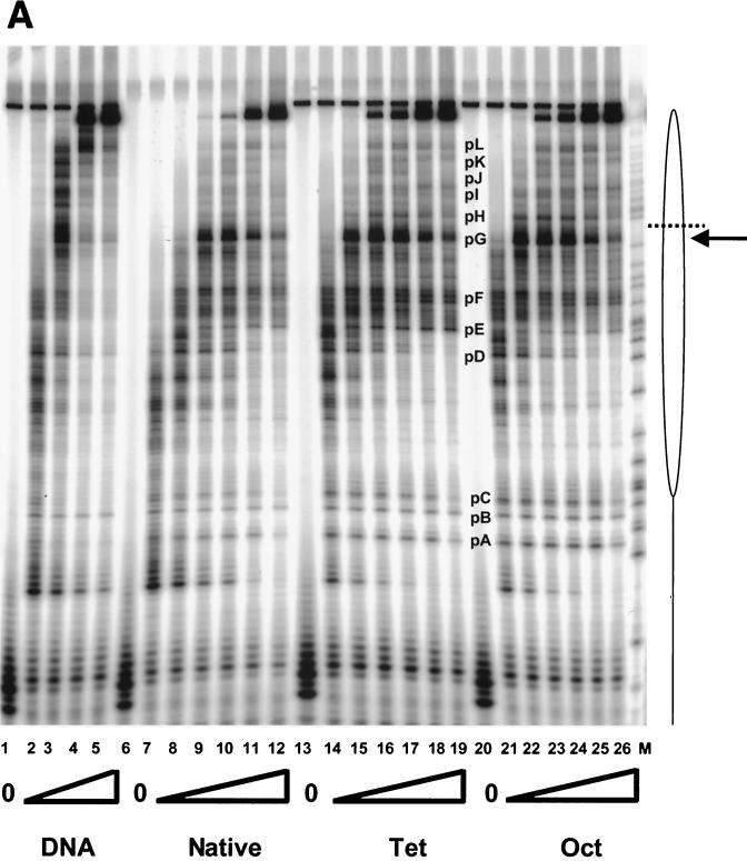 FIG. 5