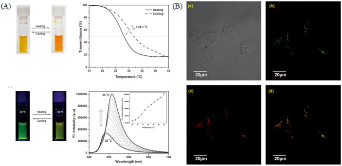 Figure 24