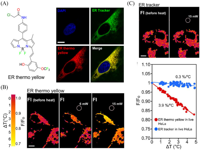 Figure 25