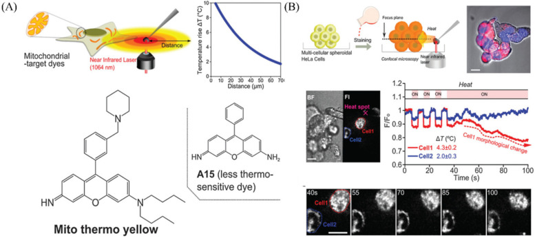 Figure 23