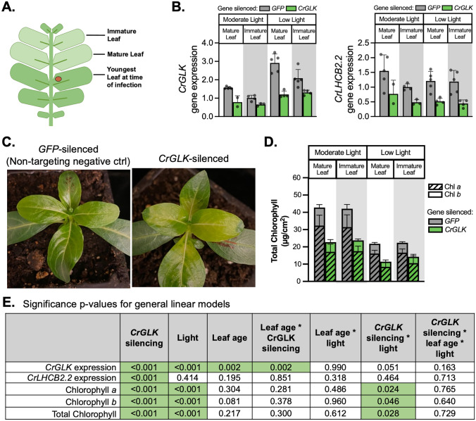 Fig. 3