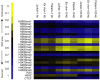 <b>Figure 4</b>