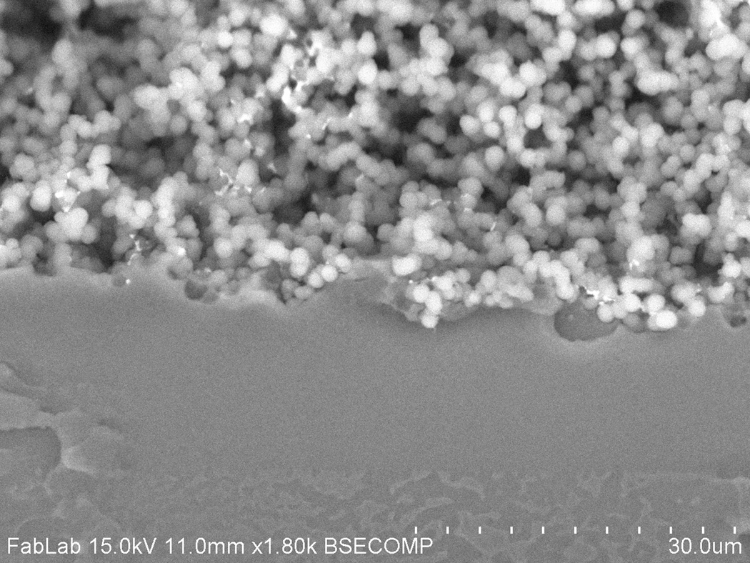 Ex Situ Integration of Multifunctional Porous Polymer Monoliths into ...