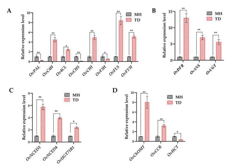 Figure 11