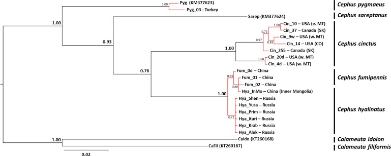 Fig 1