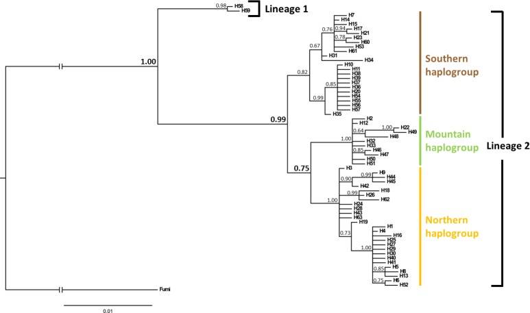 Fig 2