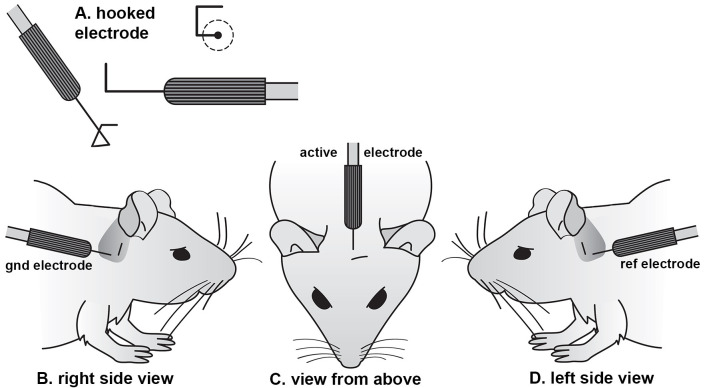 Figure 1.