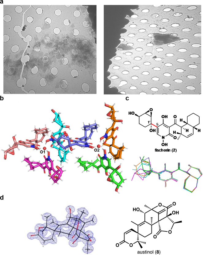 Figure 3.