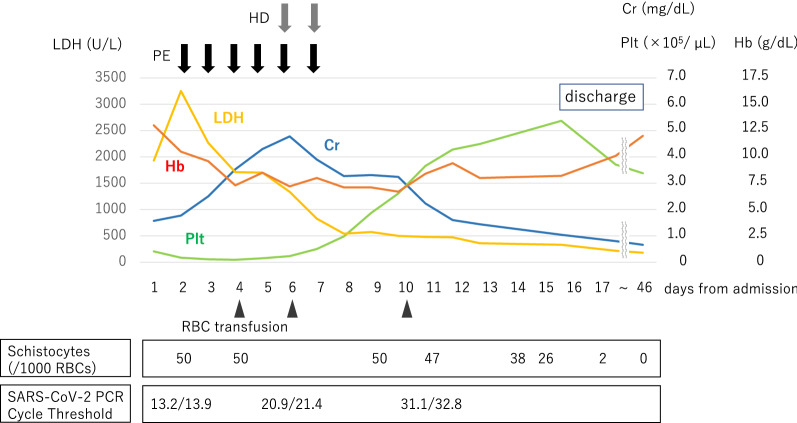 Fig. 1