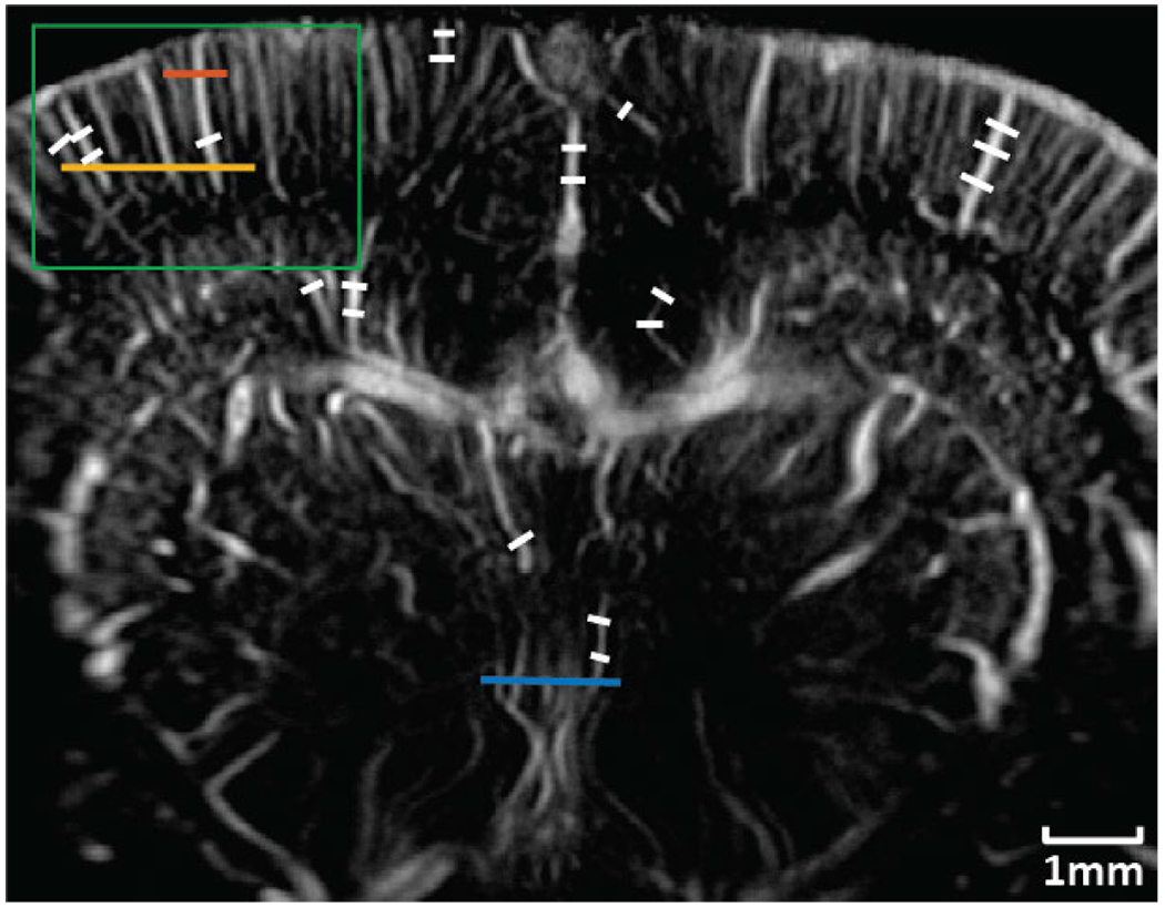 Fig. 20.