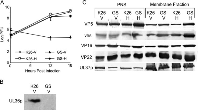 FIG 1