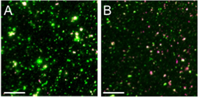 FIG 3