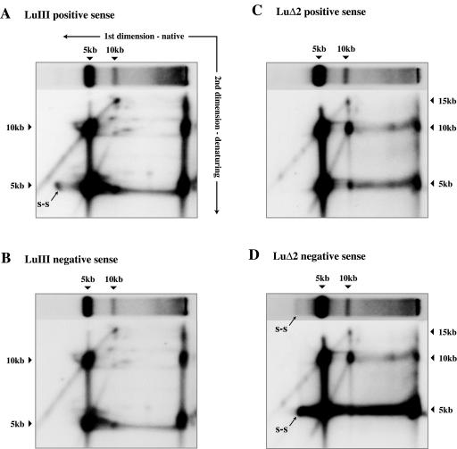 FIG. 6.