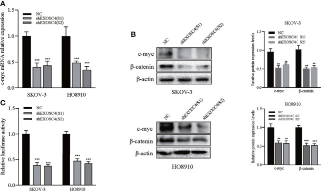 Figure 5