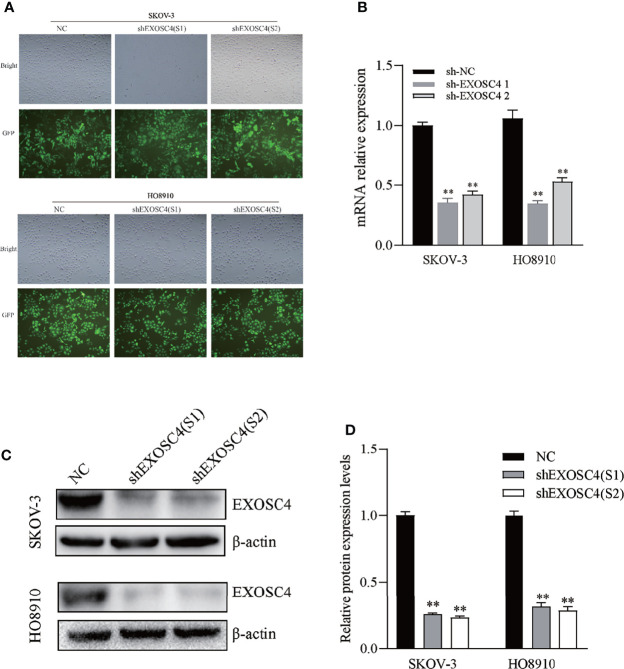 Figure 2