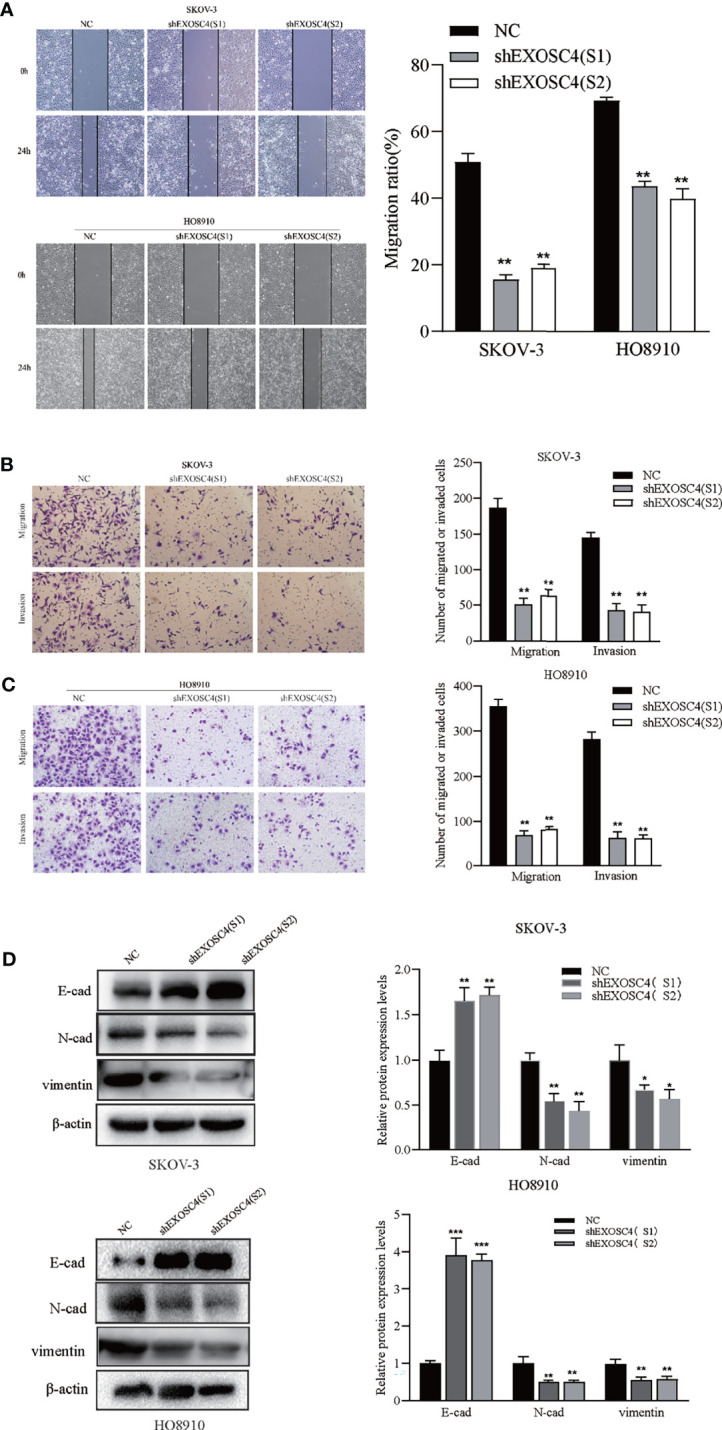 Figure 4