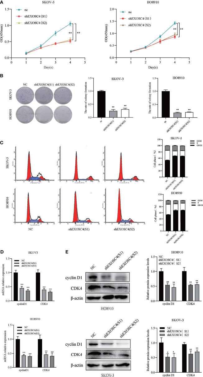 Figure 3