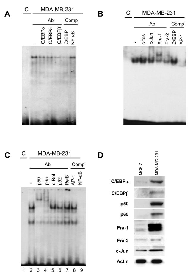Fig. 5