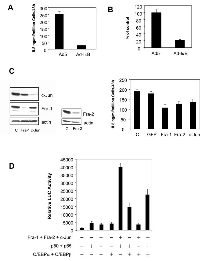 Fig. 8
