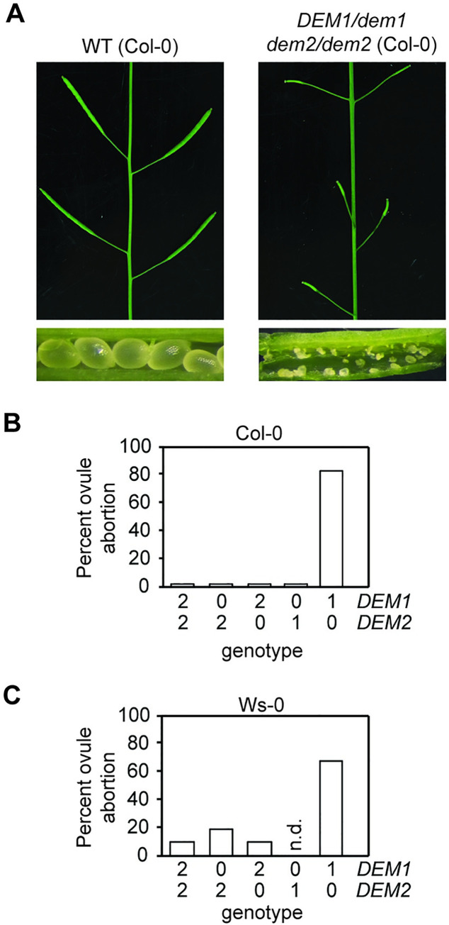 Fig 4