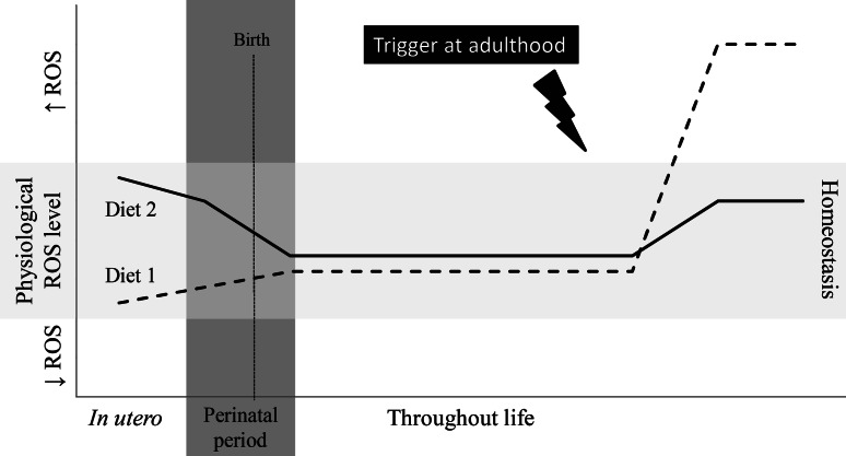 Fig. 4