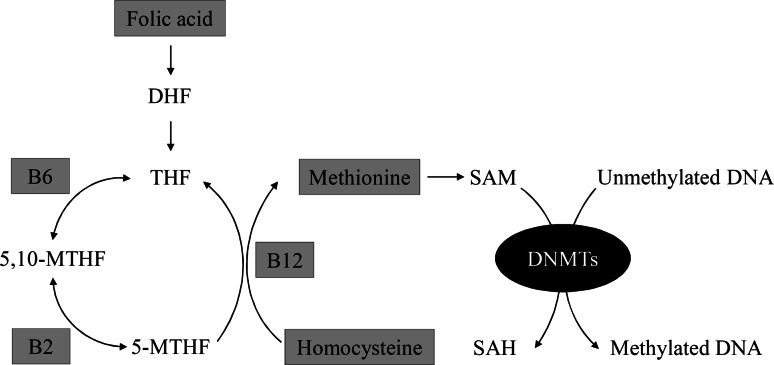 Fig. 3