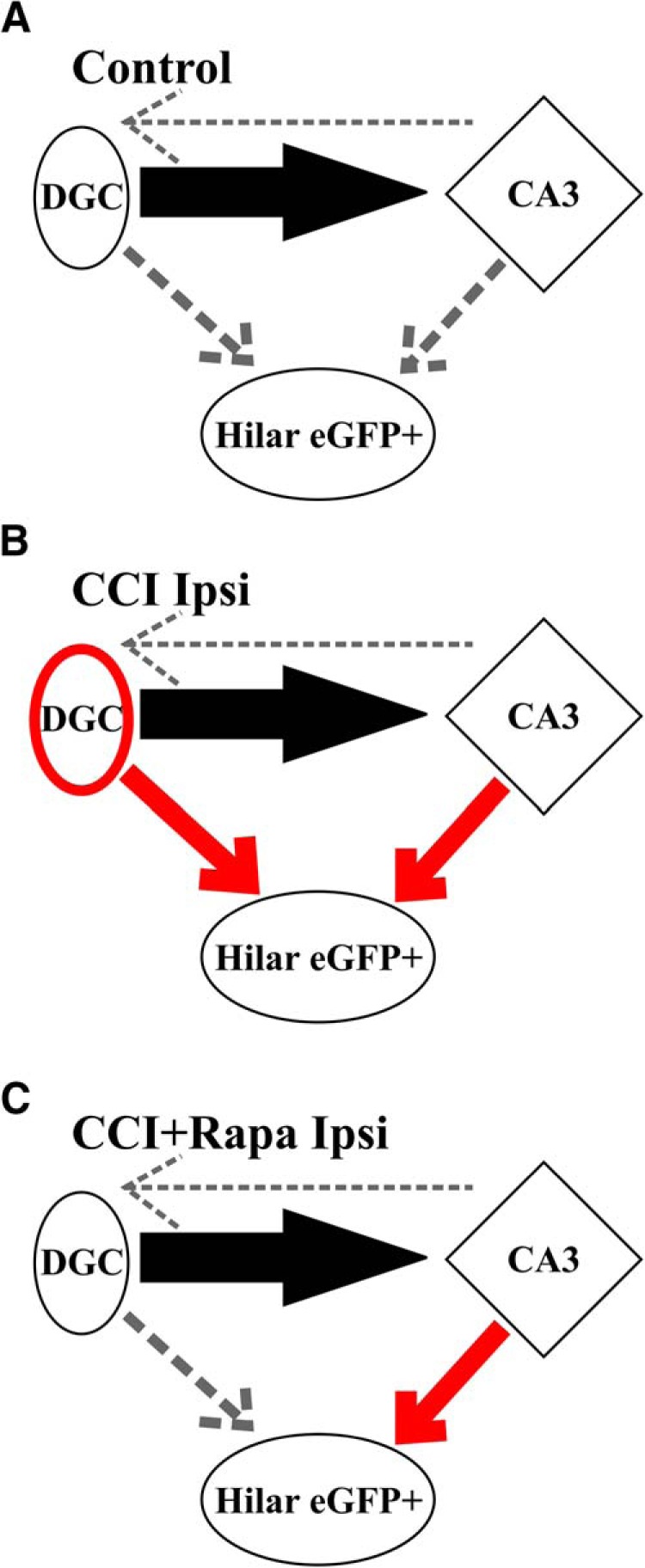 Figure 6.