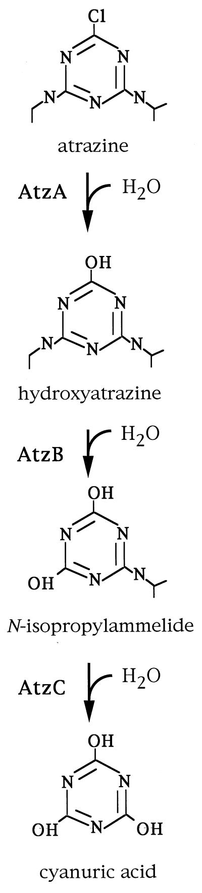 FIG. 1