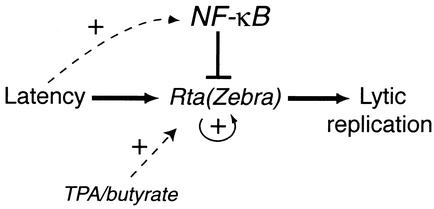 FIG. 8.