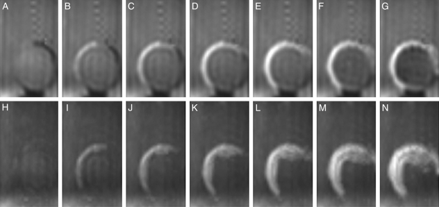 Fig. 7.