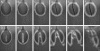 F<sc>ig</sc>. 9.