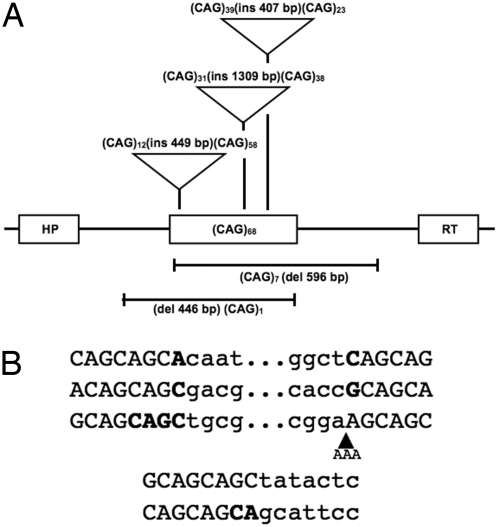 Fig. 5.