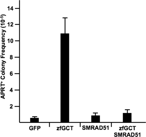 Fig. 6.