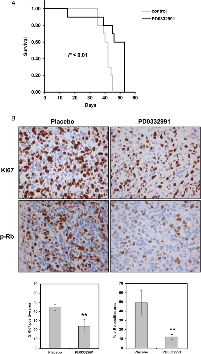 Fig. 7.