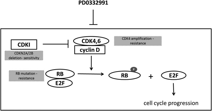 Fig. 8.