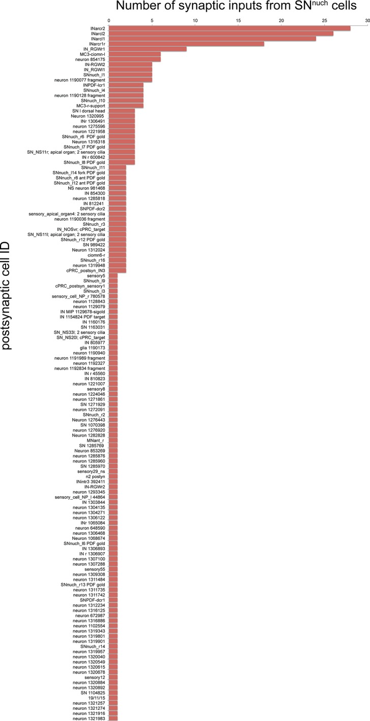 Figure 10—figure supplement 2.