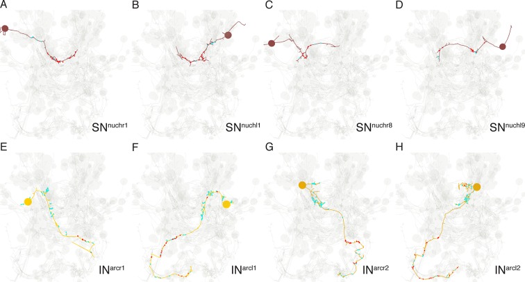 Figure 10—figure supplement 1.