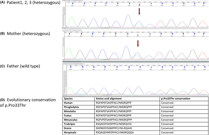 FIGURE 3