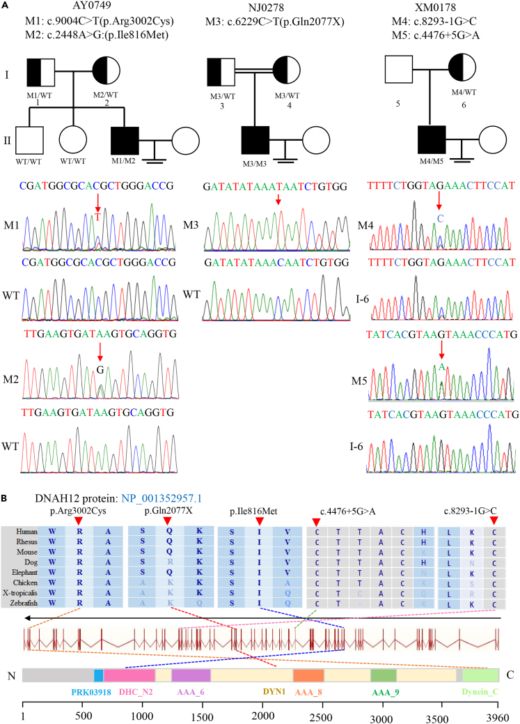 Figure 2