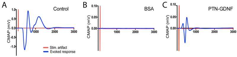 Figure 11.