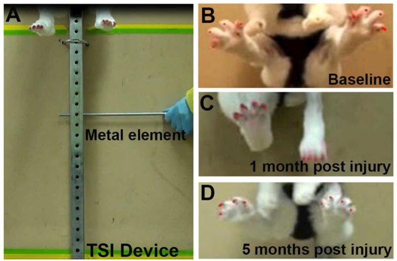 Figure 2.