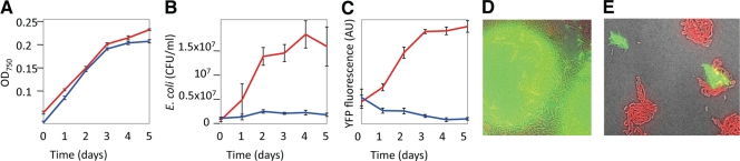 FIG. 4.