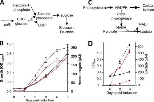 FIG. 3.