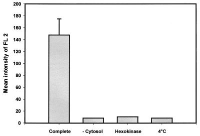 FIG. 5