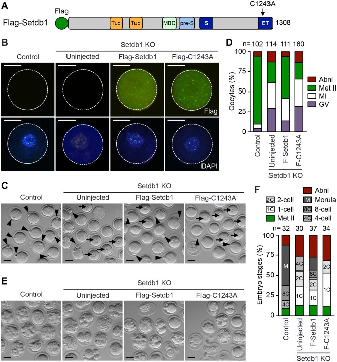 Fig 9