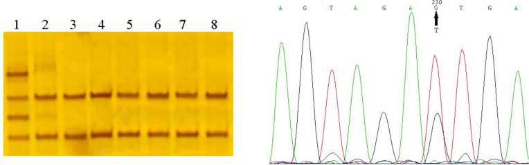 Fig. 1: