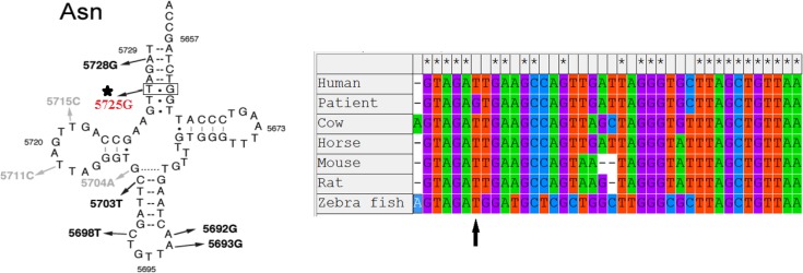 Fig. 2: