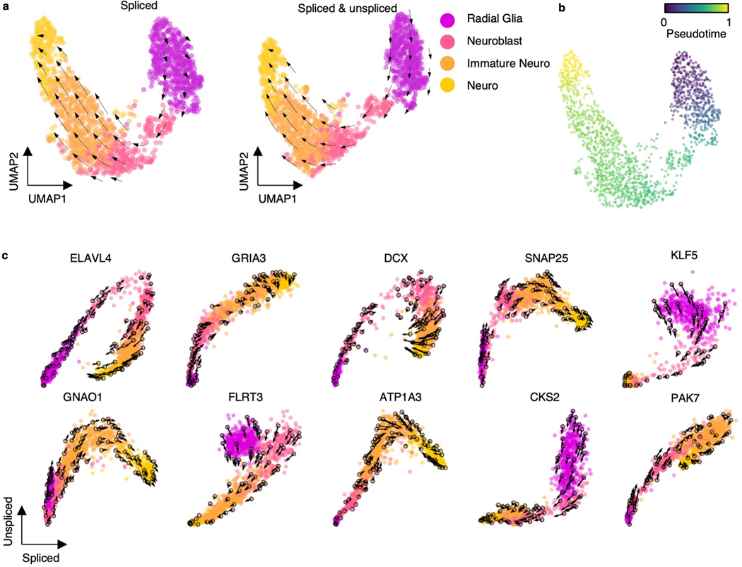 Extended Data Fig. 7 |